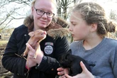 Britain’s best animal-themed attractions and win a family day out at them