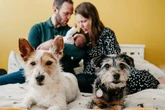 22 paws-itive parenting tips to help your dog bond with a new baby