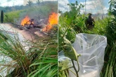Plane loaded with 200kg of 'super skunk' crashes as crew set aircraft on fire then flee