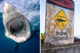 Shark attack victim recalls how beast ripped leg clean off in sickening attack