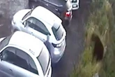 Man-eating bear pounces on bloke in car park as its seen violently shaking motors on CCTV