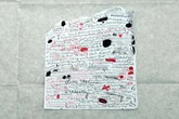 Lucy Letby's 'secret code' in diary and reason experts say she might be innocent