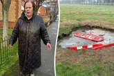 Gran almost swallowed up by sinkhole feared she would die trying to save her dog