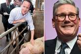 Inside politicians' 'pork curse' – 'return of the sausages', piggate and bacon sarnie