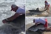 Fisherman wrestles Great White shark with his bare hands after accidentally reeling in beast