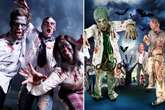 Living dead zombies 'are real' as 'third state' of existence discovered