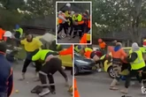 Mass tradesmen bust-up as 'Yellows vs Oranges' fight 'should be in Olympics'