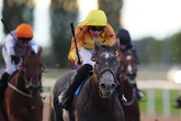 One of the UK's top horse racing tipsters names his best bets after inspired Derby selection