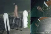 Mystery naked 'Gimp Man' on the loose as UK police launch urgent hunt