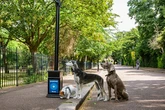 Brits pull sickies for poorly pets but special 'Dr Lampposts' can detect dog illnesses