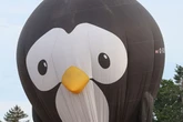 'Rip-off' UK balloon festival slammed for not enough balloons and '£8 warm JD and cokes'