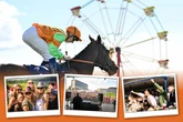 Four free summer horse racing tickets to give away with Arena Racing Company