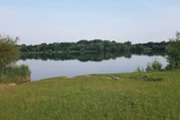 Woman 'raped in broad daylight' at UK park rushed to hospital as police launch probe