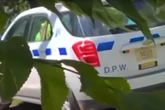 Government employee caught picking up sex worker in company vehicle in viral clip