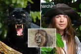 Expert reveals exactly where and when to go looking for the big cats prowling around the UK
