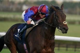 'He looks thrown in at the weights' – Jason Heavey's racing tips