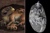 Dinosaurs didn't die from 'extraordinary events - it was much more boring than that'