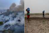 Doomsday fears as 'most intense drought in history' turns Amazon rainforest into Sahara