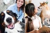 Dogs are good for your health, canine-loving boffins declare