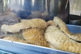 Tripe and liver back on the menu as Gen Z turns to classic dishes