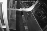 Bikini-clad barista almost kidnapped by teen who tried to yank her out drive-thru window