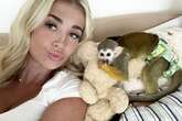 'I have pet monkeys – people say I'm an abuser but I give them the best life'