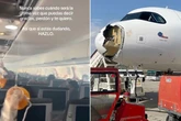 Mid-air terror after bird smashes into plane and passenger 'couldn't breathe'