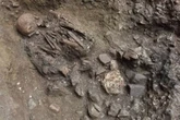 Hunter-gatherer woman's DNA could unlock 'ghost lineage' of ancient humans lost to time