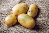 'Best' place to store potatoes to keep them fresh for 'three times longer'