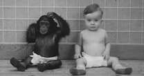 Crying boy pictured being raised with chimp in sick 'experiment' with tragic ending