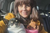 'Sex worker' dogs have vocal cords severed so men can abuse them without noise