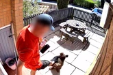 Sweary Royal Mail postie kicks ‘attention loving’ puppy in the face while delivering letters