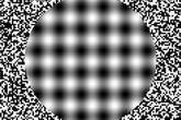 Mind-boggling optical illusion makes you see fuzzy dots when you move in closer
