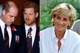 'Glam' Princess Diana would have 'kept William and Harry together' claims royal expert