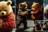 Battle of the bears reveals who'd win in mass brawl involving Paddington and Pooh