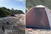 Couple caught in the act on sandy beach but at least they brought a tent