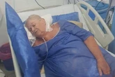 Family 'falling apart' as dream Egypt holiday turns to disaster