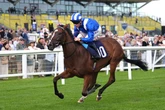 'I tipped 16-1 Kerry National winner – and fancy 66-1 shot on Friday' – Jason Heavey's racing tips