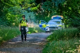 'Dog walker' discovers charred remains of in woodland popular with visitors