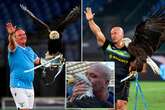 Lazio sack fascist falconer who shared vid of penile implant he got to 'bonk twice a day'