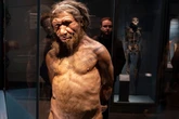 Early humans and Neanderthals lived together in the same caves and traded ideas