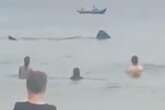 Massive shark swims just feet away from beachgoers in chilling 'Jaws' moment