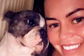 Viral dog with 'biggest boobs' dies as tributes paid to pet 'loved by whole internet'