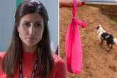 Hollyoaks star flogging dog poo bags in surprise career change away from fame