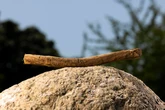 Vodafone launch new handheld device 'The Stick' to get kids outdoors