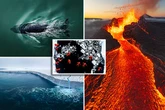 Incredible drone pics of the year winners revealed from blood and guts to 'flaming skull'