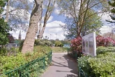 Teens left with 'stab wounds' as police cordon off popular London park