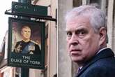 Pub takes down portrait of Prince Andrew as 'let's play' Epstein email emerges