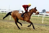 How Red Rum changed racing for good – and the iconic horse's unlikely link to TV comic Lee Mack