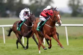 'He is a winner waiting to happen' – Jason Heavey singles out five horses to follow